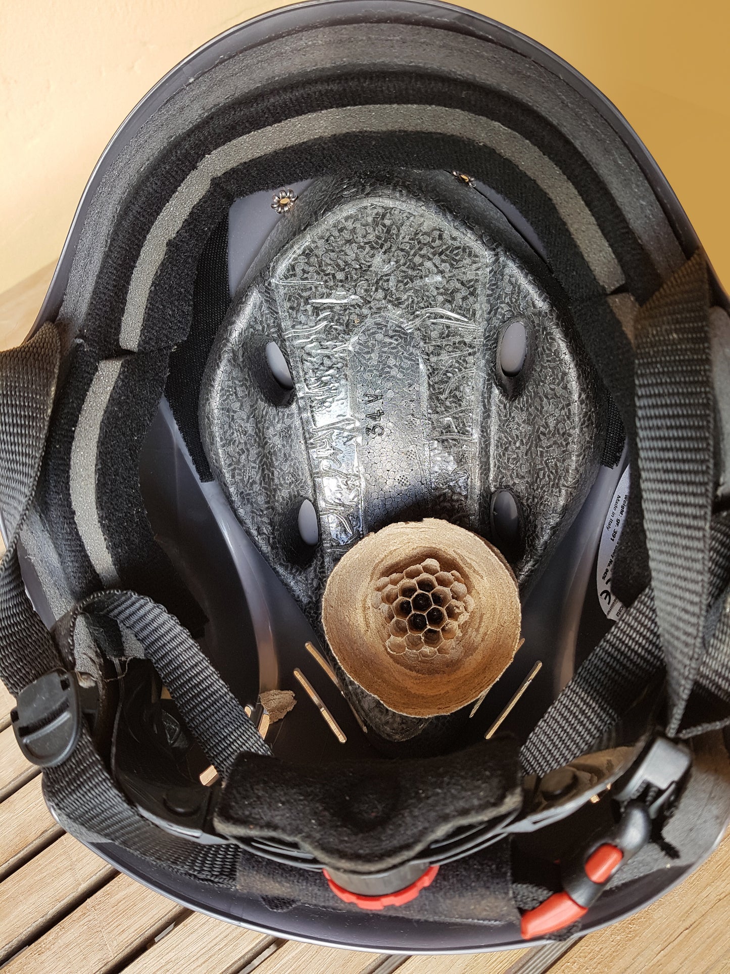 Impact-Absorbing Liner for Skateboard Helmet